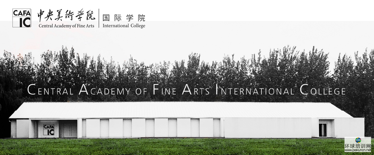 中央美术学院国际学院招生简章及学院介绍
